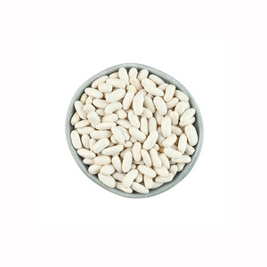 ถั่วขาวคุณภาพดีที่สุด ขายส่งในราคาถูก 100% เกรดพรีเมียม - Product Image 5
