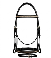 Bridon en cuir pour cheval avec sangle de nez à boucle et garniture dorée, équipement d'équitation durable TAK Equestrian HB1902