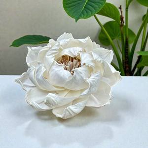 ดอกไม้ประดิษฐ์จากไม้โซล่ารูปดอกโบตั๋นธรรมชาติ ขนาดใหญ่ 15 ซม. ทำจากเส้นใยพืชเซสบาเนีย - Product Image 2