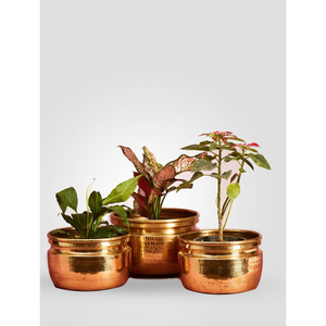 Jardinières en métal finition or, forme ronde, accessoires de jardin pour la maison, balcon, patio, pots et jardinières - Product Image 2