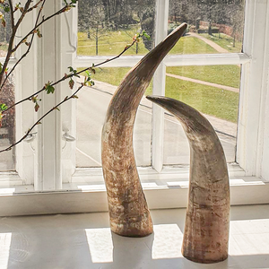 Buffalo Decorative Horn Customized Size Desktop Showpieces <b>Decoration</b> Buffalo Horn Pieces - Product Image 5