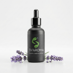 Aceite Esencial de Lavanda 100% Puro al por Mayor |   Destilado al Vapor de Primera Calidad, Certificado GMP para Cosméticos y Cuidado Personal - Product Image 1