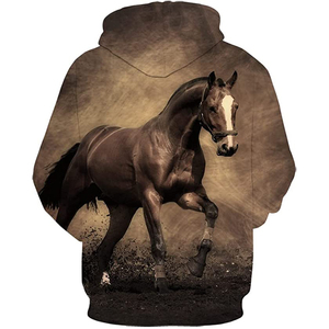 Sweat-shirts et sweats à capuche pour hommes - Product Image 1