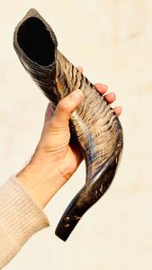 Shofar en corne de bélier polie - Corne écologique traditionnelle de forme naturelle, son résonant pour les cérémonies religieuses et la décoration intérieure - Product Image 3