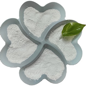 Polvo de Carbonato de Calcio Recubierto Acrílico VNT-3C de Nhat Thang Vnt7 Jsc para Aplicación por Pulverización, Pintura Plástica, Recubrimientos para Construcción Naval - Product Image 3