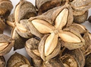 Sachi Inchi biologique de qualité supérieure du Vietnam/ Noix d'Inca/ Prix bas Huile de Sachi Inchi biologique/ Mme Lima - Product Image 4