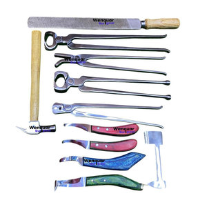 Professional 11-Piece Stainless Steel Farrier Tools Kit High Quality Horse Hoof <b>Care</b> Wenquar Surgical Instruments - Product Image 1