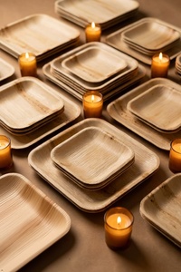 Assiettes carrées tendance en feuille de palmier de 10 pouces, lot de 50, écologiques et jetables pour hôtels et cafés 2026 - Product Image 1
