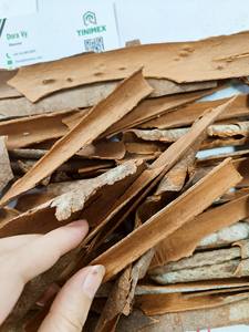 แยก Daruchini/แยก kaneel/อบเชยอบเชยจากเวียดนาม | ราคาที่แข่งขันได้ (WA: + 84362512699) - Product Image 6