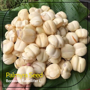 ชาดอกปาล์มย์ราคุณภาพสูง ตัดแห้งแล้ว ดอกปาล์มย์ราตัวผู้ ชิ้นดอกปาล์มย์รา ราคาแข่งขัน 500 กรัม 10 กิโลกรัม - Product Image 2