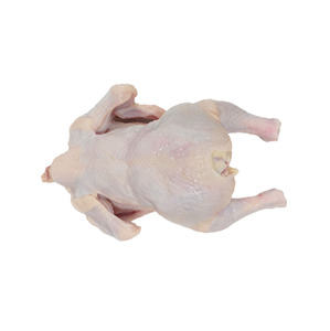 ไก่แช่แข็งฮาลาลคุณภาพสูงจากบราซิลสำหรับการส่งออกขายส่ง - Product Image 2