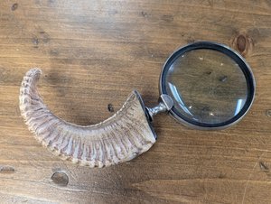 Loupe d'imitation antique avec poignée en corne de buffle, écologique et faite à la main – Idéale pour la décoration intérieure et les cadeaux d'affaires - Product Image 4