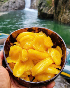 JACKFRUIT SANS GRAINES CONGELÉ DE QUALITÉ SUPÉRIEURE IQF JACKFRUIT JAUNE DU VIETNAM EMBALLAGE OEM - Product Image 2