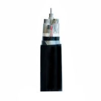 Cable Armado de Aluminio con Aislamiento XLPE y PVC YJLV22 de 0.6/1KV para Cableado Subterráneo