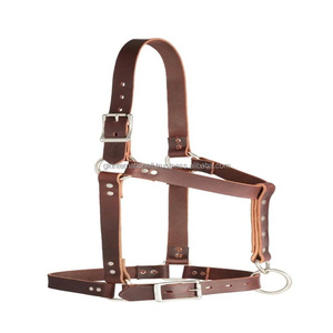 Harnais de luxe personnalisé pour l'équitation, harnais carré réglable pour chevaux, boucles de harnais western, harnais en cuir de haute qualité avec rivets - Product Image 2