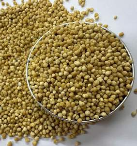 VIETGRO - DI-AMMONIUM <b>PHOSPHATE</b> 16.5 - 46.5 (DAP 63%) FROM VIETNAM - Product Image 4