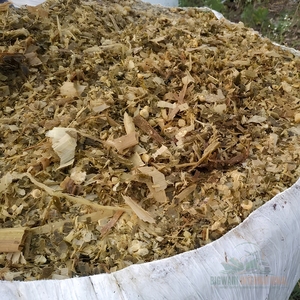 Ensilaje de Maíz para Vacas Lecheras y Ganado Bovino, Ensilaje de Maíz Amarillo de Alta Energía para Proveedores de Alimentos para Granjas y Compradores de Ganado - Product Image 3