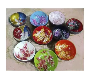 Coconut Shell Bowl with Lacquer Cheap Price Fancy Design 2022