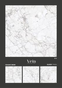 Regal Aura - Baldosa de Porcelana Brillante de 600x600 mm, 60x60 cm, 24x24 Pulgadas, Elegante, Cuadrada, Decorativa, para Pisos Arquitectónicos - Product Image 5