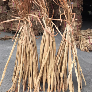 Jacinto de agua retorcido como decoración con bonitos diseños originarios de Vietnam - Product Image 1