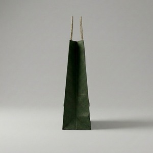 <b>Biodegradable</b> Kraft <b>Paper</b> Boutique Bag with Twisted Handles - Product Image 3