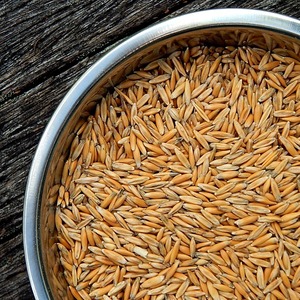 Paquetes de Cereal para Bebés, Desayuno Instantáneo a Granel, <span class=keywords><strong>Avena</strong></span> y Granos con Sabor, Marca Privada, Dieta Familiar, <span class=keywords><strong>Avena</strong></span> Integral - Product Image 4