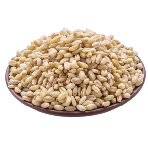 Servicio OEM, Listo para Enviar, Granos de Trigo Blando Premium, Venta al por Mayor, Grado Alimenticio, Suministro a Granel Más Vendido - Product Image 3