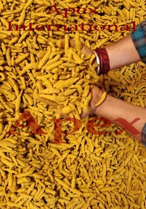 Curcuma Longa en Polvo, Extracto de Especia Haldi - Product Image 4