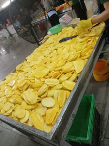 Mango Deshidratado Procesado al Vacío, Paquete a Granel, Dulce y Masticable, Snack Premium, Origen Vietnam - Product Image 2