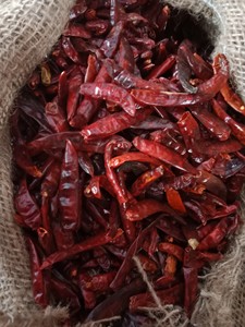 Piment rouge séché entier sans tige du Vietnam, sain et idéal pour les mélanges d'épices, vente en gros, emballage en vrac - Macy - Product Image 5