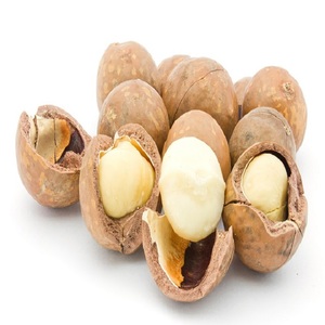 Nueces de macadamia frescas de alta calidad al por mayor con sabor 100% natural para exportación directa al mejor precio - Product Image 5