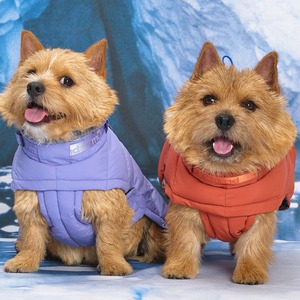 Veste pour chien [MUNIKUND] Thermal Up Padding Air 2, rembourrée en duvet végétalien, imperméable, pour l'hiver et les activités de plein air. - Product Image 3