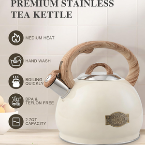 BERTILLE ketel Stainless Steel 2,5 l, ketel Stainless Steel warna gading, kompor Gas induksi kayu untuk memasak, berkemah, rumah - Product Image 3