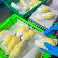 Premium Thailand Durian Export Kwaliteit Diepvriesblokjes 100% Durian Vlees Romige Zoete Smaak Monthong 500g Koelopslag