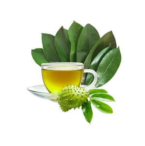 Premium Dried Graviola Soursop Leaves <b>Tea</b> Bags for Herbal <b>Slimming</b> <b>Tea</b>-EXPAD Brand - Product Image 1