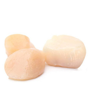 เนื้อหอยเชลล์แช่แข็งสดคุณภาพสูงราคาประหยัดและอาหารทะเลแช่แข็ง - Product Image 1