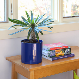 Pot de fleurs en métal bleu au design élégant avec support noir, mini décoration pour la maison et le jardin, pots et jardinières en gros en Inde - Product Image 3
