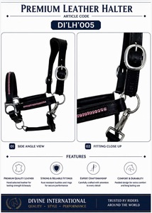 Harnais pour cheval en cuir pleine fleur de qualité supérieure avec couronne et muserolle rembourrées de Divine International - Product Image 3
