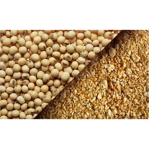 Premium Grade Organic Soybean Meal 48% Protein 2% Moisture for Horse Cattle & Chicken Feed Top-quality Grade a 2 Year Shelf Life - Product Image 5