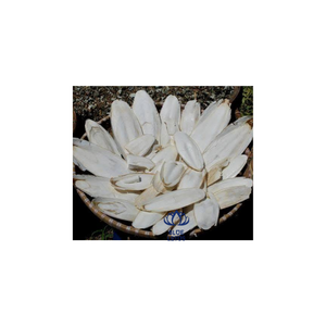 HOT Eco Premium Cuttlefish Bone Source naturelle de calcium pour cages à oiseaux Produits pour animaux de compagnie Vente en gros et exportation - Product Image 1