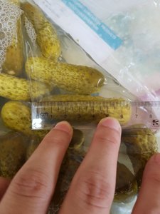 Cornichons marinés en pot de verre 720 ml, taille 6-9 cm, fournisseur OEM de cornichons marinés du Vietnam, taille 3-6 cm, concombre mariné au vinaigre - Product Image 5