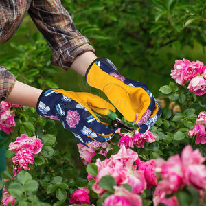 Gants de jardinage avec doublure douce et forte adhérence pour l'entretien du jardin, gants de travail de jardinage de protection - Product Image 3