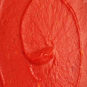 Puré de Tomate Fresco Indio, Suave y Rico, para Restaurantes, Hoteles, Cantinas y Cocinas Comerciales a Gran Escala - Product Image 6