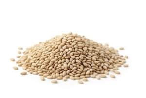 เมล็ดงาธรรมชาติน้ำมันทาฮินีคั่วเกรดอาหารเมล็ดงากัวจารัตอินเดีย - Product Image 2