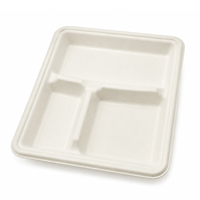 Assiette carrée jetable en bagasse de 10 pouces, compartimentée, compostable, pour plats à emporter, blanche, résistante au congélateur, robuste, pour mariages et fêtes