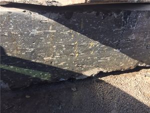 Bloque de Mármol Negro Fósil Devoniano, Patrón Fósil Natural, Material de Piedra Cruda de Mármol Oscuro para Procesamiento de Losas - Product Image 2