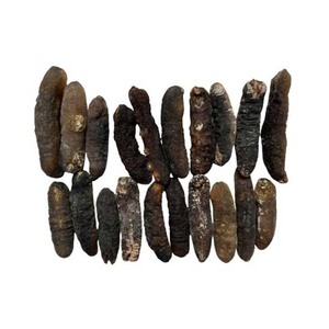 Pepino de Mar Seco al Por Mayor a Precio Económico - Product Image 1