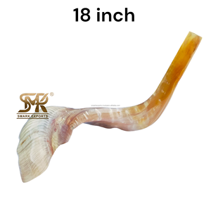 Shofar de cuerno de carnero natural pulido Shofar único para festivales Reuniones religiosas Ceremonias espirituales Prácticas culturales - Product Image 1