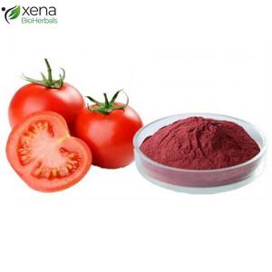 Fournisseur en gros d'extrait de tomate soluble dans l'huile, ingrédient botanique naturel pour les cosmétiques - Product Image 2