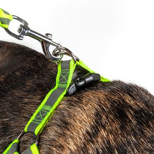 Guinzaglio e Pettorina per Cani 2-in-1 con Tensione Regolabile e Cuciture Riflettenti - Product Image 3